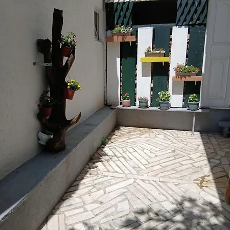 Smokva Opatija